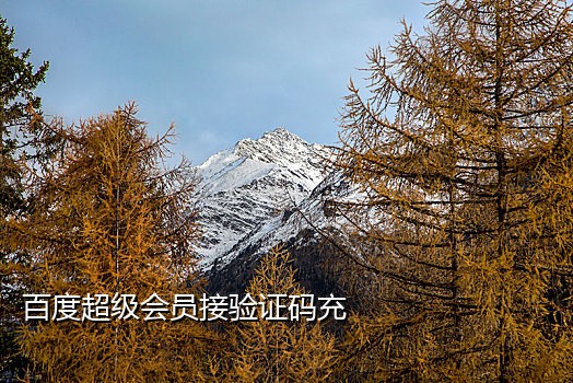 卡商接码群快手