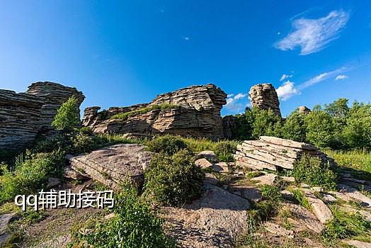 卡接不到短信验证码