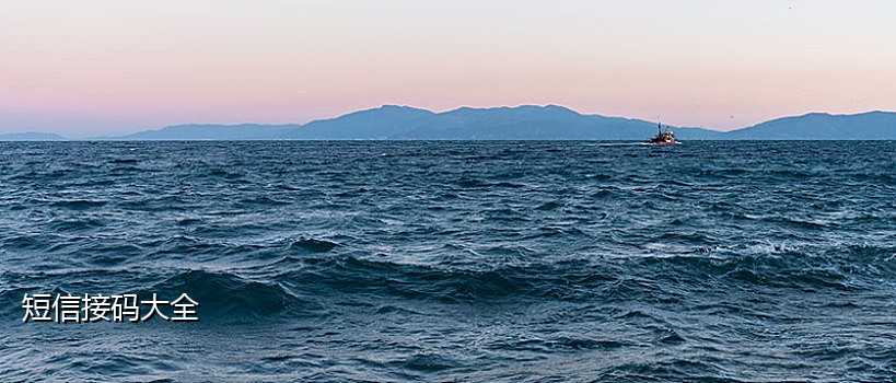 陌声注册接不了验证码