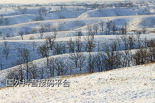 今日头条接码软件咋个用