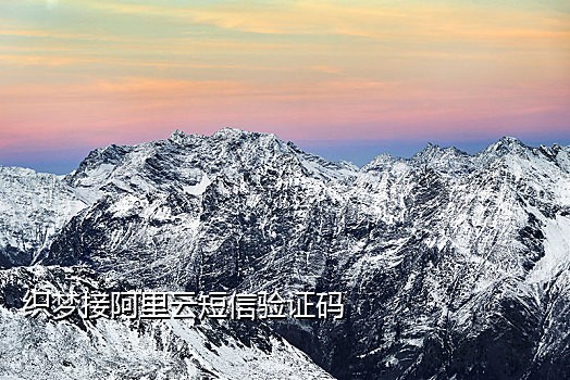 接小米手机验证码