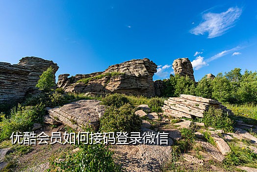 接受微信支付的接码