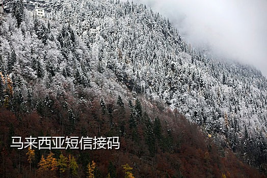 接码注册微信视频