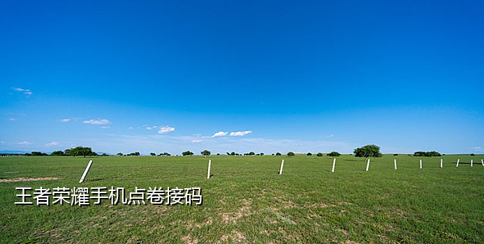 接码平台手机版大王卡