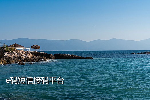 接码平台接收短信次数