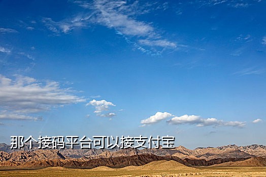 接码短信验证码平台最新