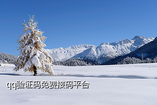 接短信验证码的网站