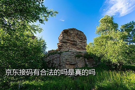 接别人的短信验证码