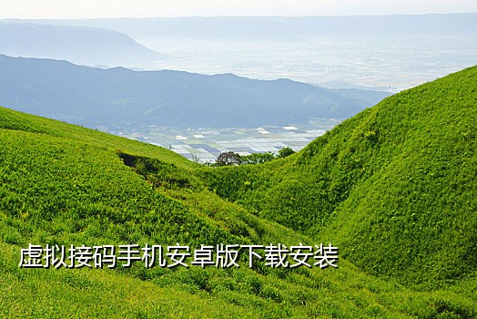 接app验证码短信