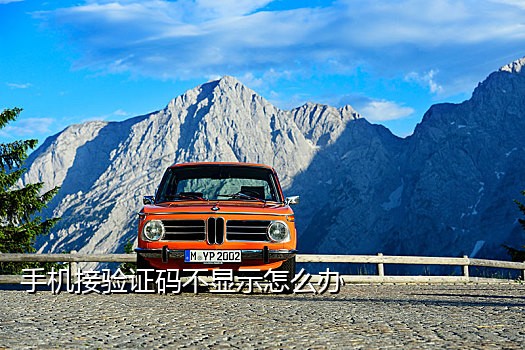 简单的手机接码易语言