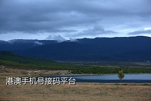 免费手机接码验证码平台有哪些