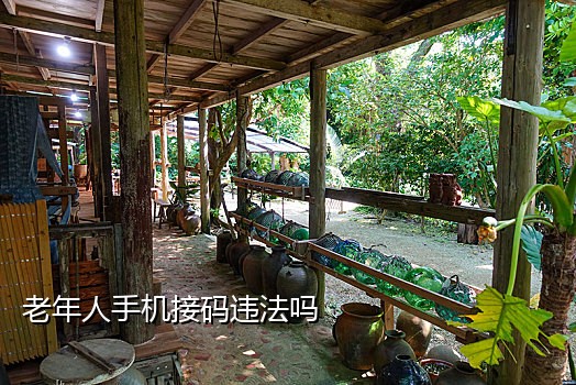 免费手机号码接码