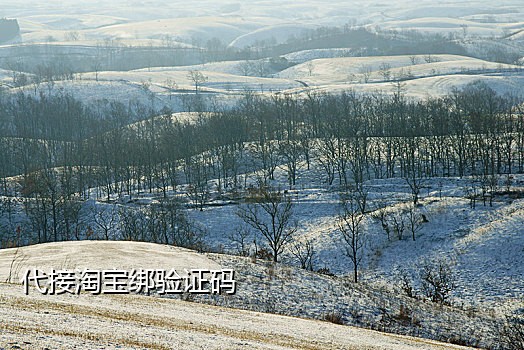 国外短信接码平台收费吗