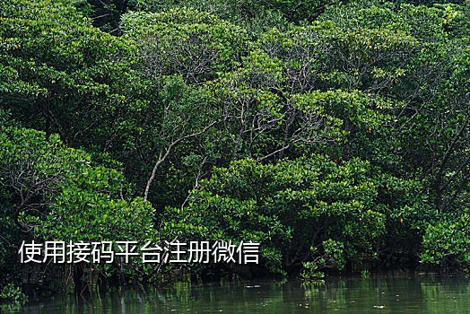 国内外短信接码平台哪个好