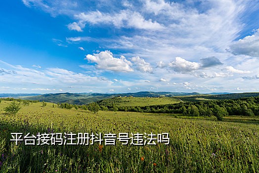 国内手机号免费接码软件