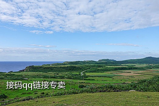国际虚拟短信接码