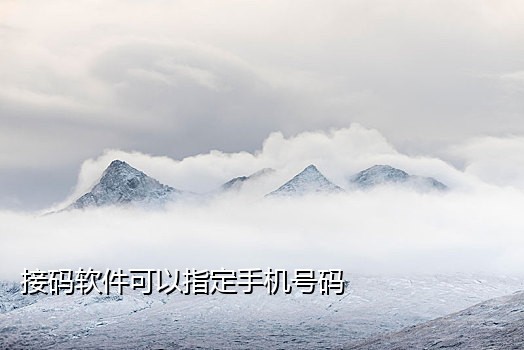 共享接码抖音对接