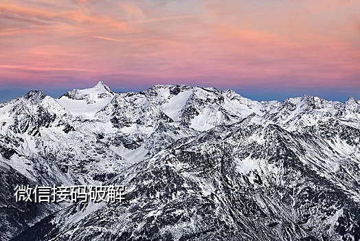 高手短信接码平台