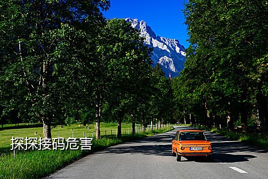 番茄短信接码平台