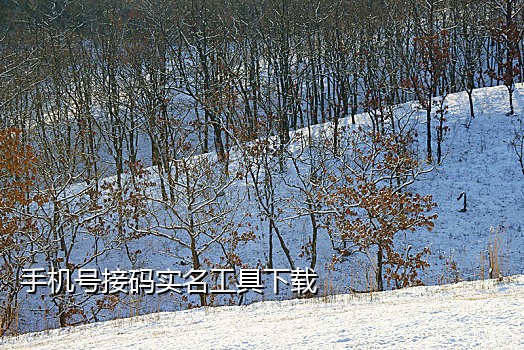 饿了么怎么接语音验证码