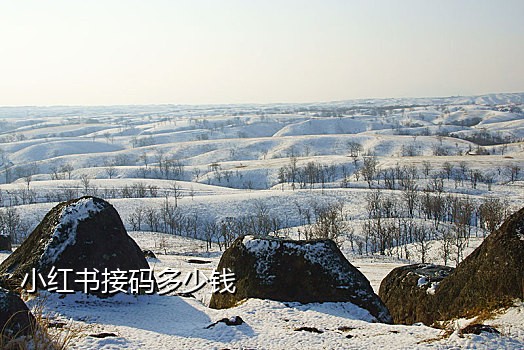 免费接码短信验证码平台