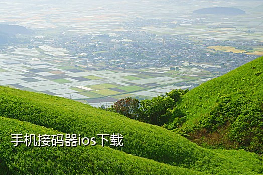 短信接码怎样使用
