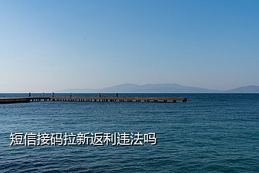 短信接码验证码平台网站