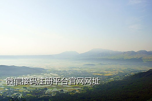 免费国内手机号接验证码