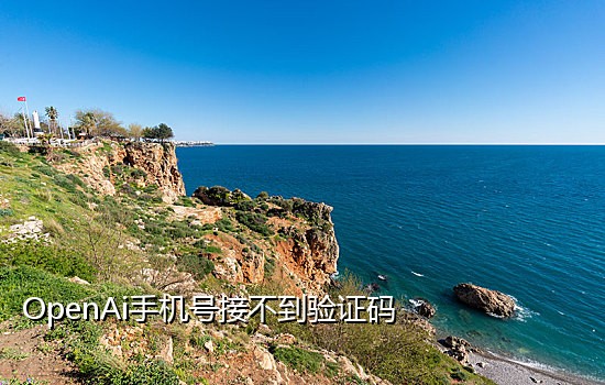 短信接码平台怎么用
