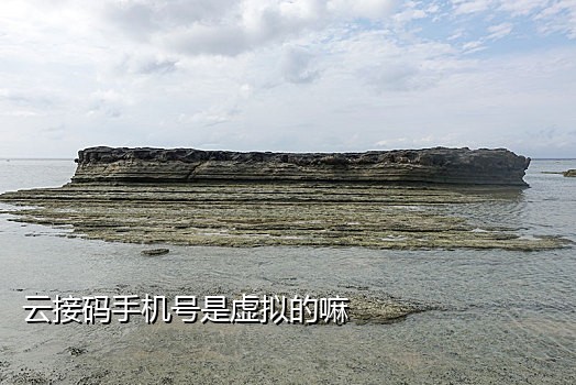 短信接码平台官网