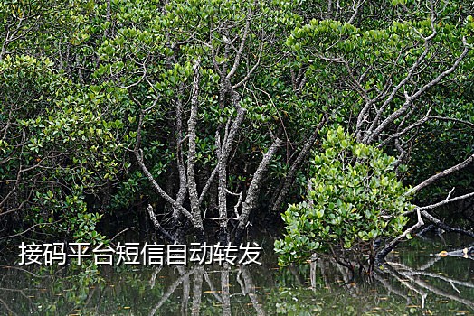 短信接码客户端下载