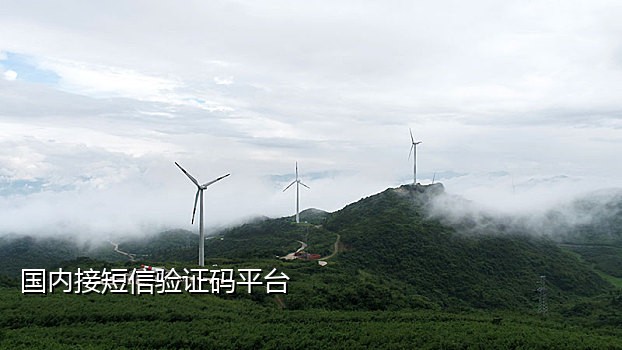 短信接码API是啥