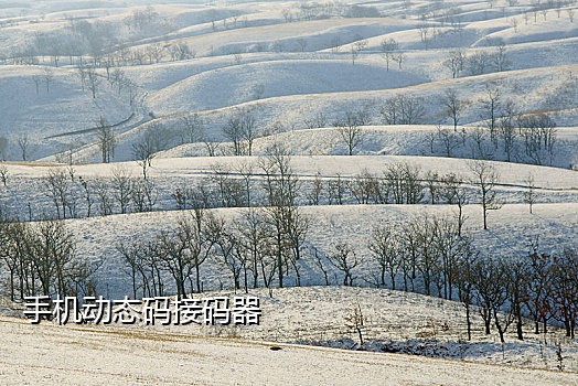 免费代接短信验证码软件下载