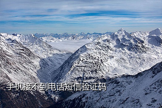 秘乐手机号码接不到验证码