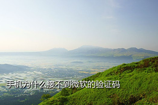 米云短信接码平台