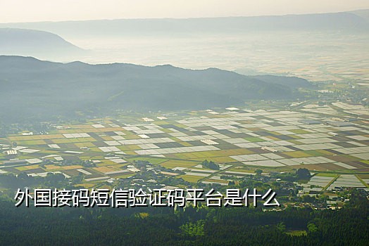 大陆手机号接码平台