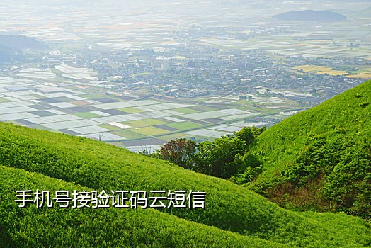 阿里巴巴接码平台吗