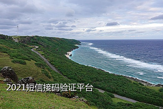 阿里巴巴国际站接码