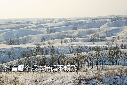 vivox21接不到短信验证码