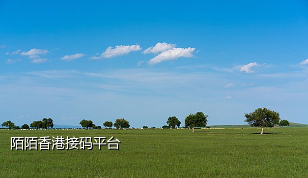 soul美国接码平台