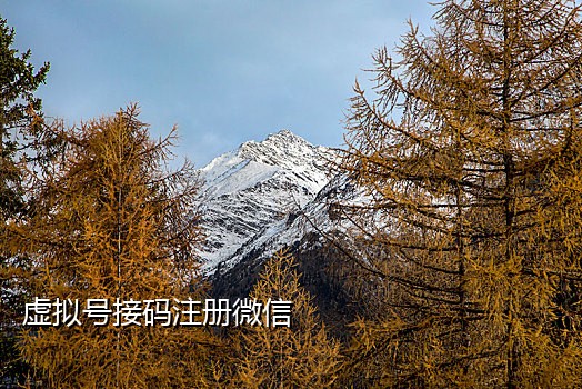 shopee接码平台