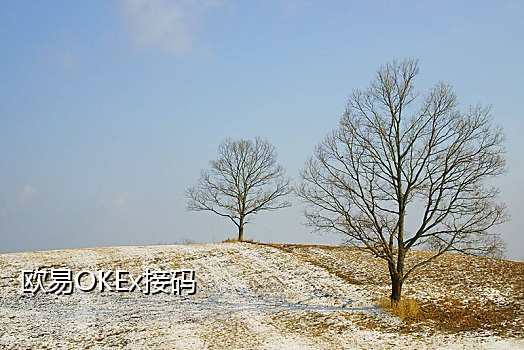 kakaotalk电话验证码接不通