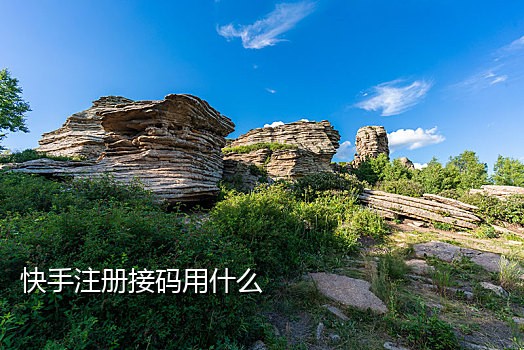 e码接码平台怎么发送短信