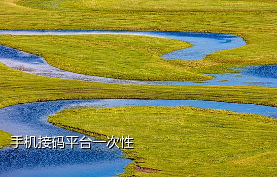 最新接码短信平台有哪些呢