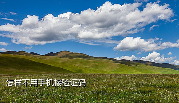 中国移动接码短信