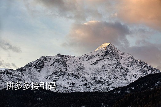 中国手机号在线接码