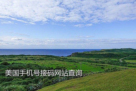 中国接码短信平台