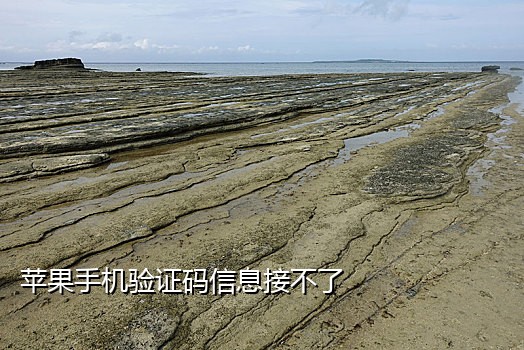 美国支付宝接码