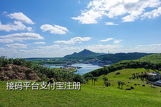 支付宝可以接码的平台