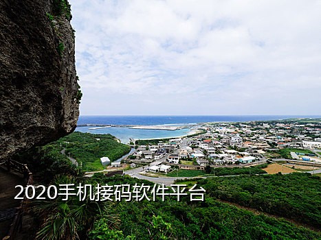 整套短信接码源码